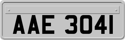 AAE3041