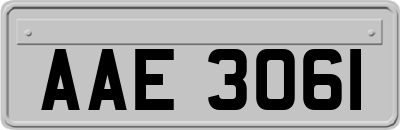 AAE3061