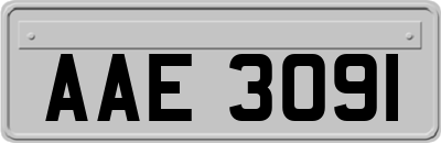 AAE3091