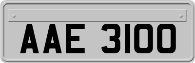 AAE3100