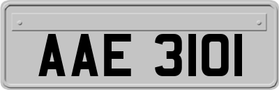 AAE3101