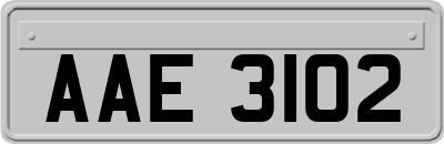 AAE3102