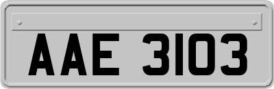 AAE3103