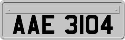 AAE3104