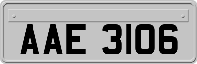 AAE3106