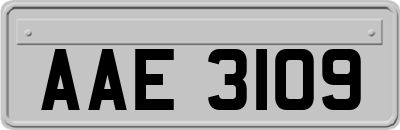 AAE3109