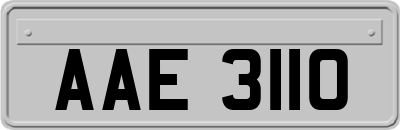 AAE3110