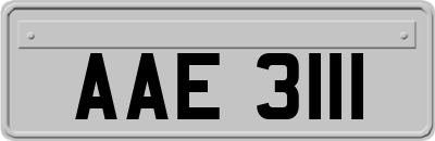 AAE3111