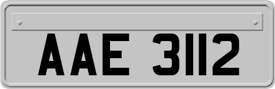 AAE3112