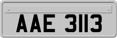 AAE3113