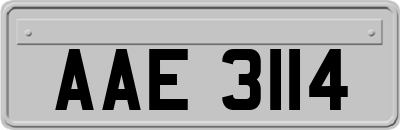 AAE3114