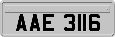 AAE3116