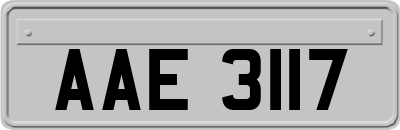 AAE3117