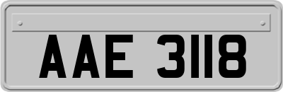 AAE3118