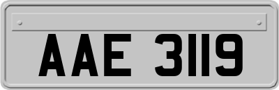 AAE3119