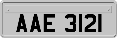 AAE3121