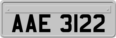 AAE3122