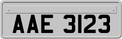 AAE3123