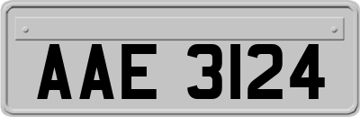 AAE3124