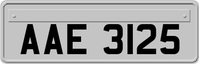 AAE3125