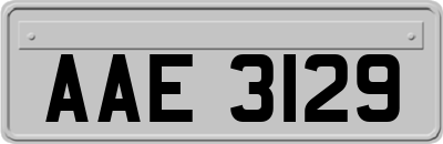 AAE3129