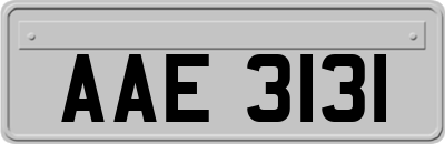 AAE3131