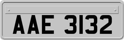 AAE3132