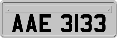 AAE3133