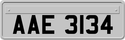 AAE3134