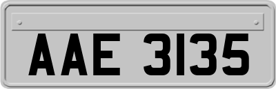 AAE3135