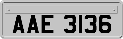 AAE3136