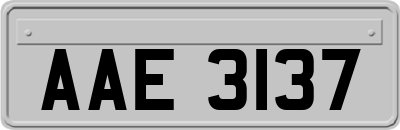 AAE3137