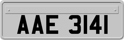 AAE3141