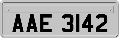 AAE3142