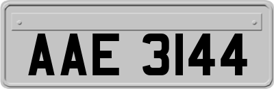 AAE3144