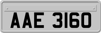 AAE3160