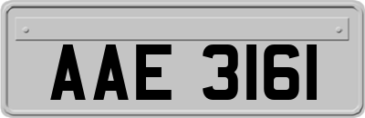 AAE3161