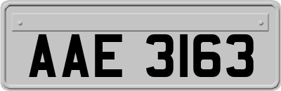 AAE3163