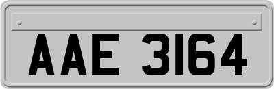 AAE3164