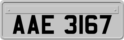 AAE3167