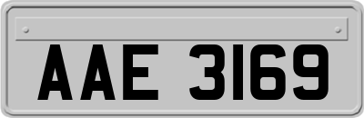 AAE3169