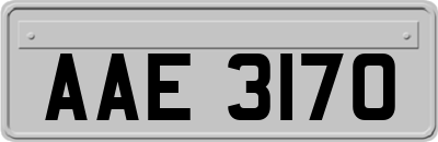 AAE3170