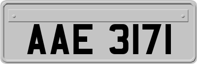 AAE3171