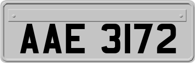 AAE3172