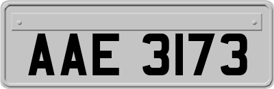 AAE3173