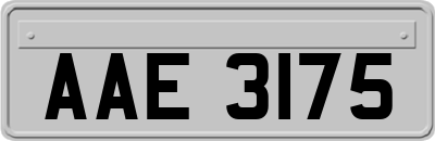 AAE3175