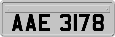 AAE3178