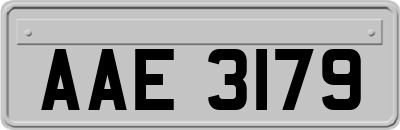 AAE3179