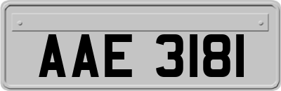 AAE3181