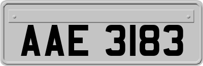 AAE3183